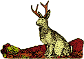 Jackalope